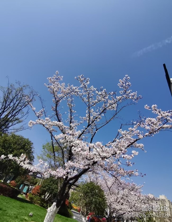 【人間四月天】花團(tuán)錦簇