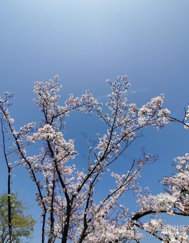 【人間四月天】花團(tuán)錦簇