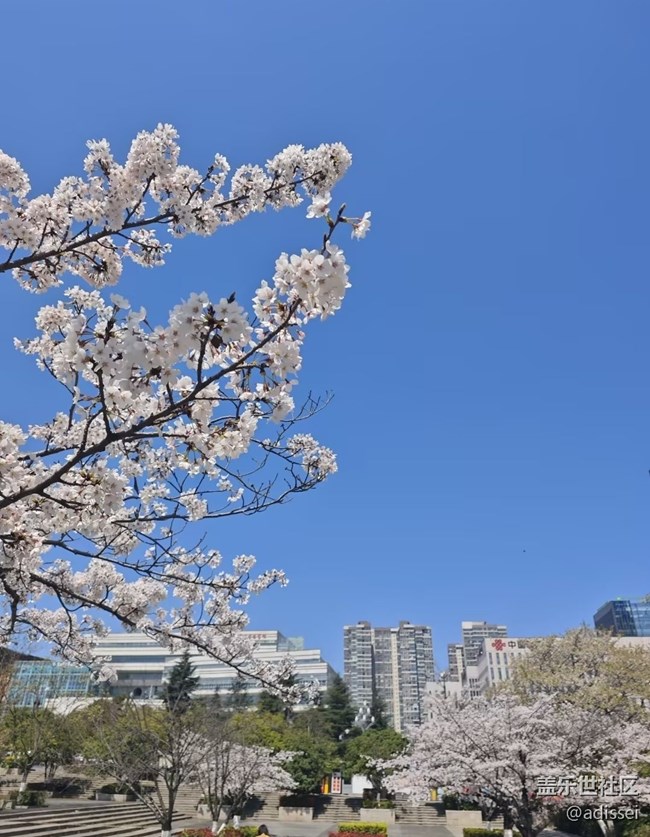 【人間四月天】花海