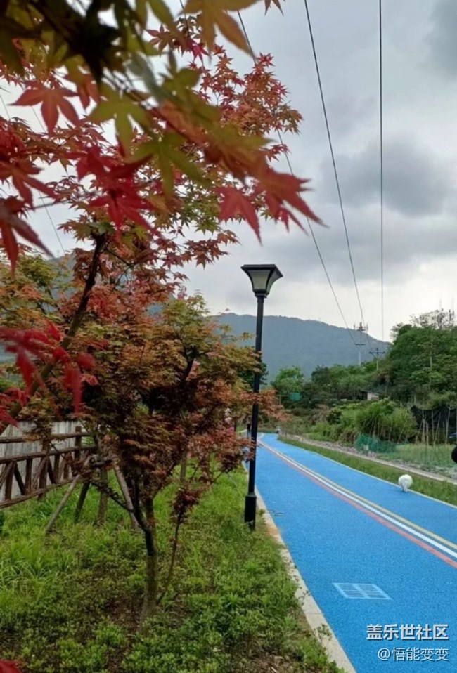 【人間四月天】后山散步