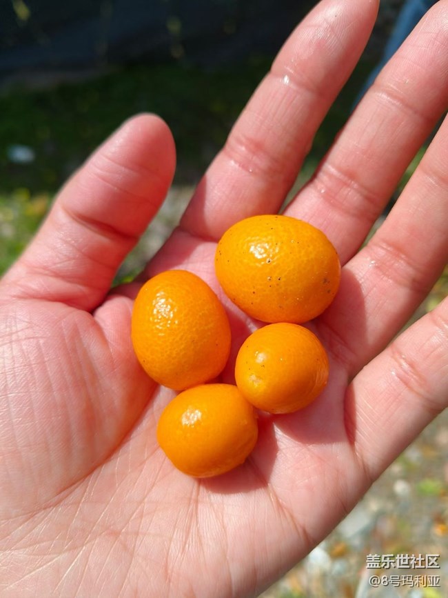 【人間四月天】自然