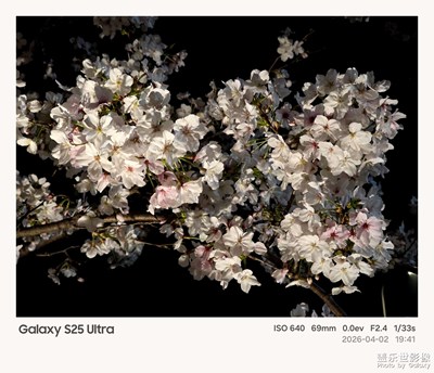 【細(xì)微之處】+夜晚的櫻花