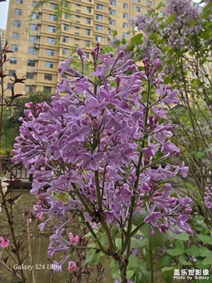 春天來(lái)了，花兒開(kāi)了鳥(niǎo)兒把歌唱(≧?≦)?