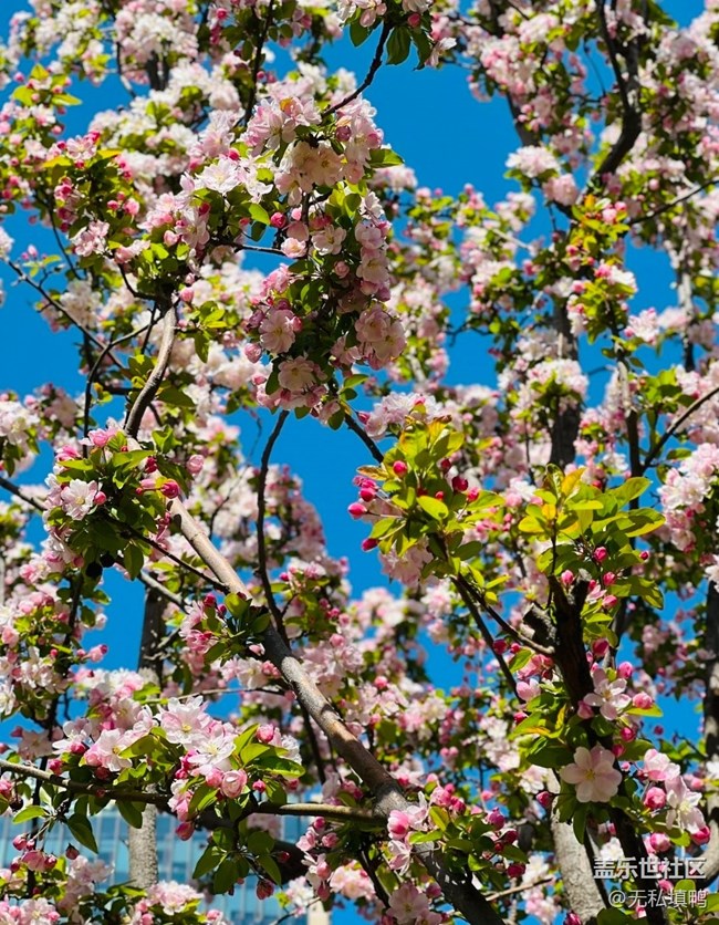 【人間四月天】大美人間