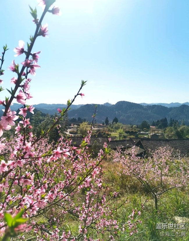【人間四月天】早起