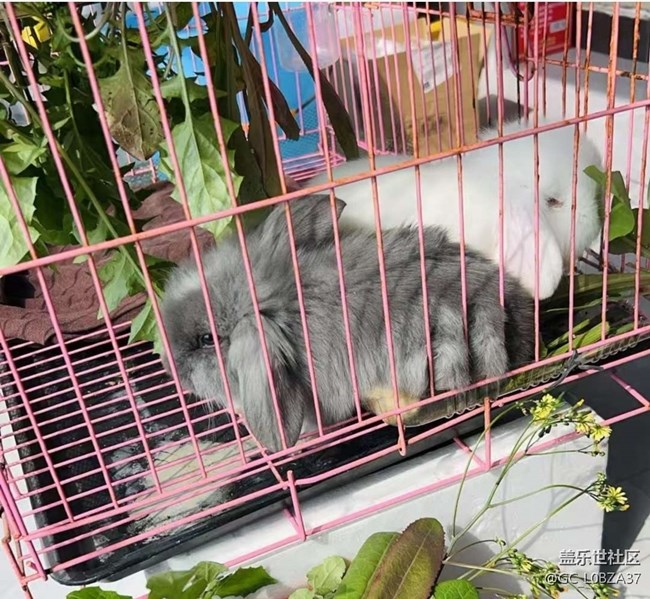 【人間四月天】周末