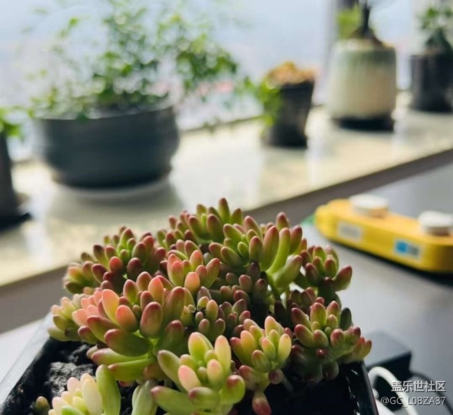 【人間四月天】周末