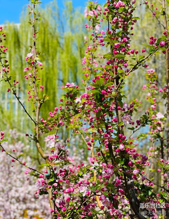 【人間四月天】大美人間