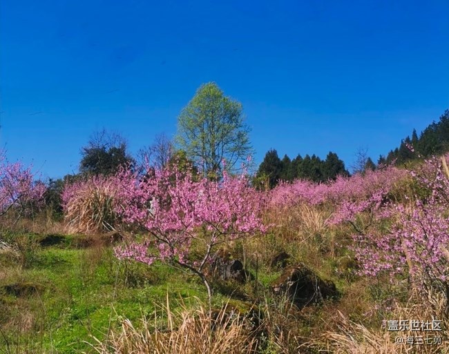 【人間四月天】早起