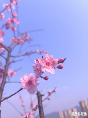 【細微之處】細節(jié)之美