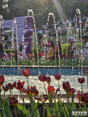 【細微之處】+花朵