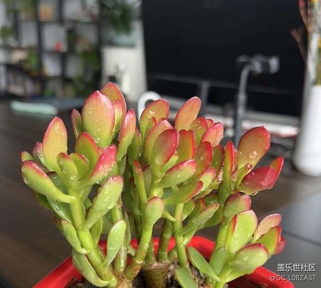 【人間四月天】周末