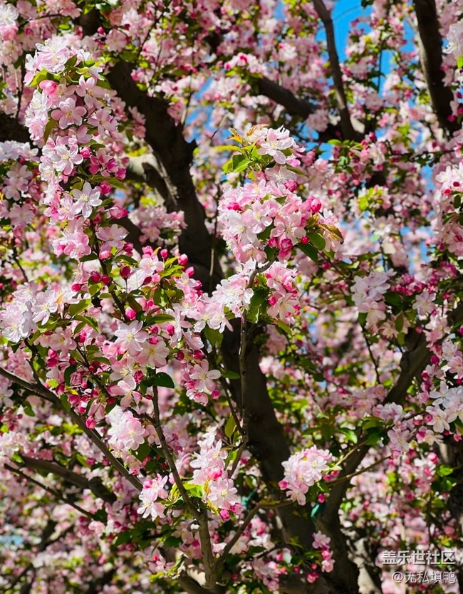 【人間四月天】大美人間