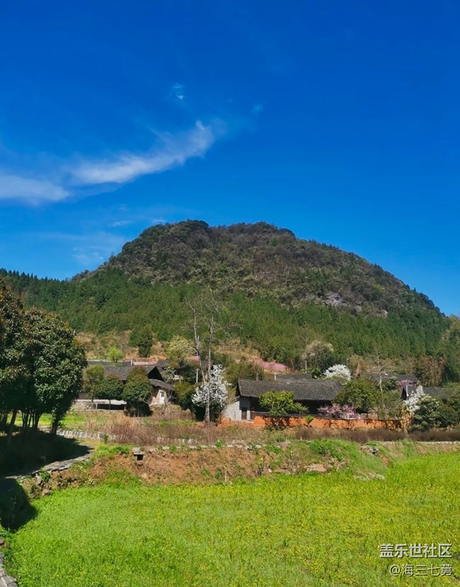 【人間四月天】早起