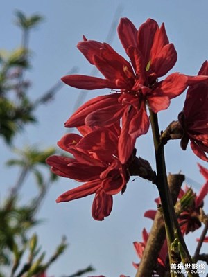 【細(xì)微之處】大風(fēng)之后是藍(lán)天