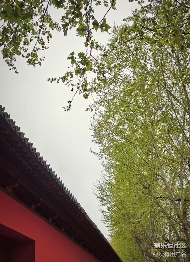 【人間四月天】暴走