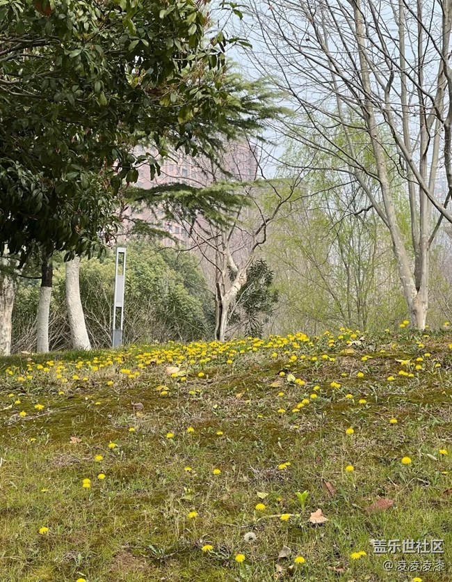 【人間四月天】小花