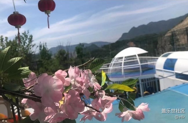 【人間四月天】賞春