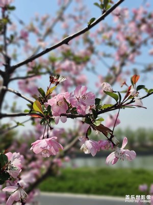 【細(xì)微之處】+假期生活