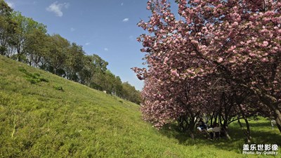西安北郊渭河堤岸
