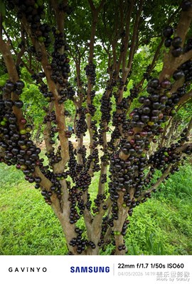 【細(xì)微之處】時光醞釀的甘美詩篇