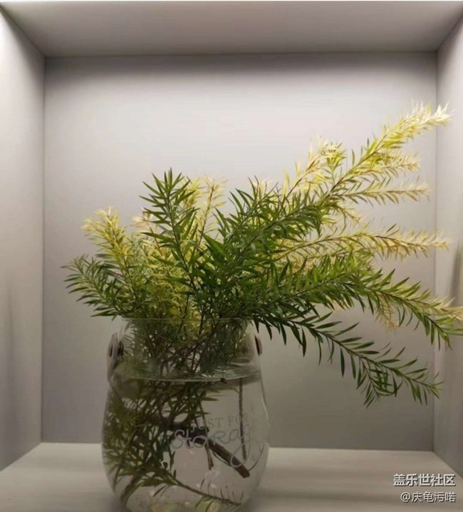 【人間四月天】插葉