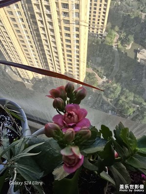 短暫的假期要結束了