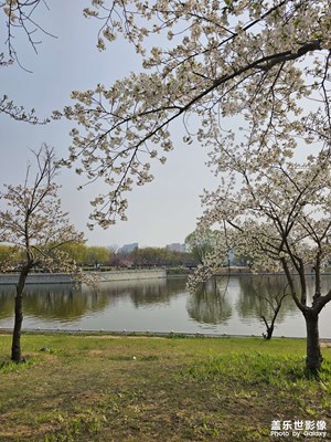 【細(xì)微之處】春風(fēng)十里