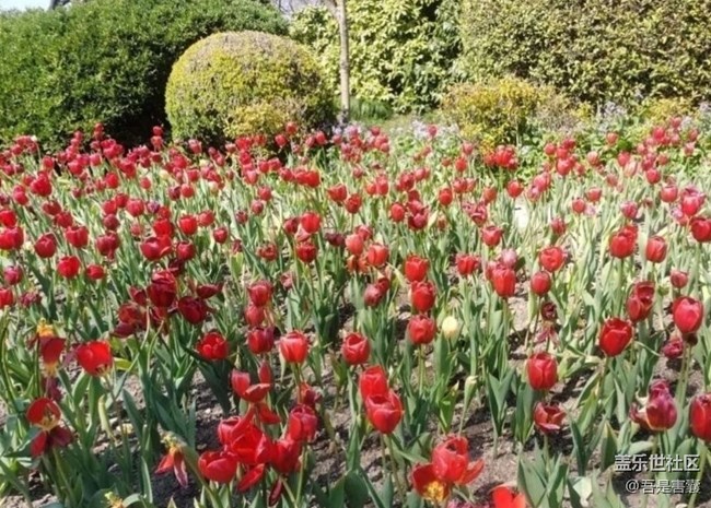 【人間四月天】春暖花開