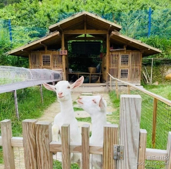 【人間四月天】外出