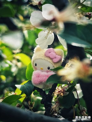 【細微之處】+三麗鷗萌粒
