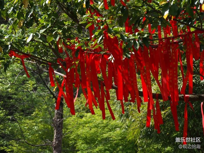 【人間四月天】森林公園