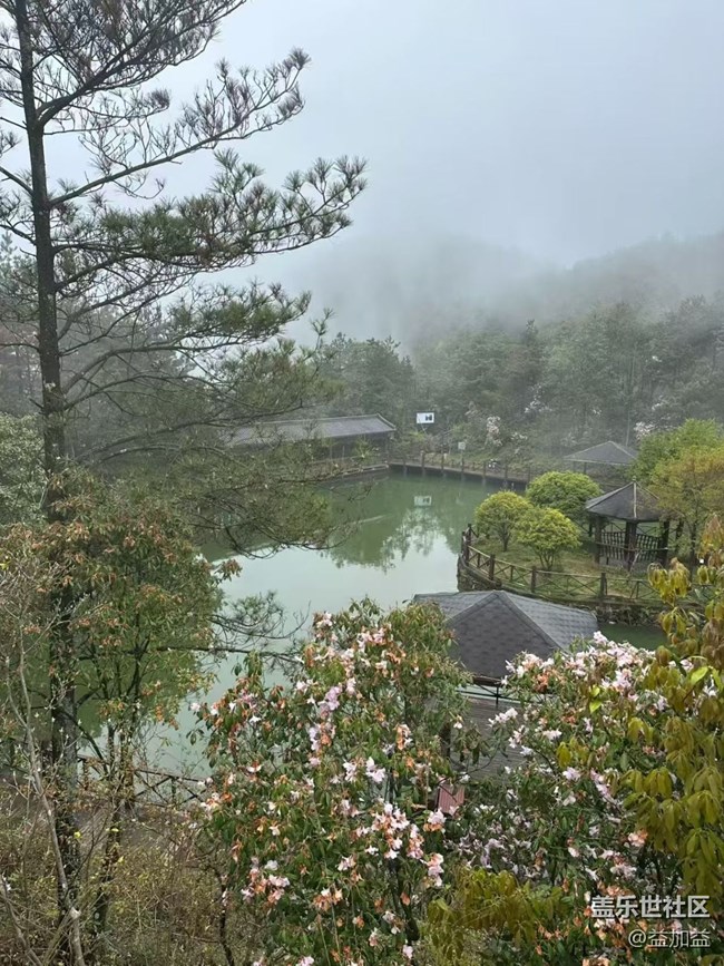 【人間四月天】霧天