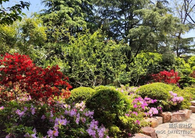 【人間四月天】公園一角