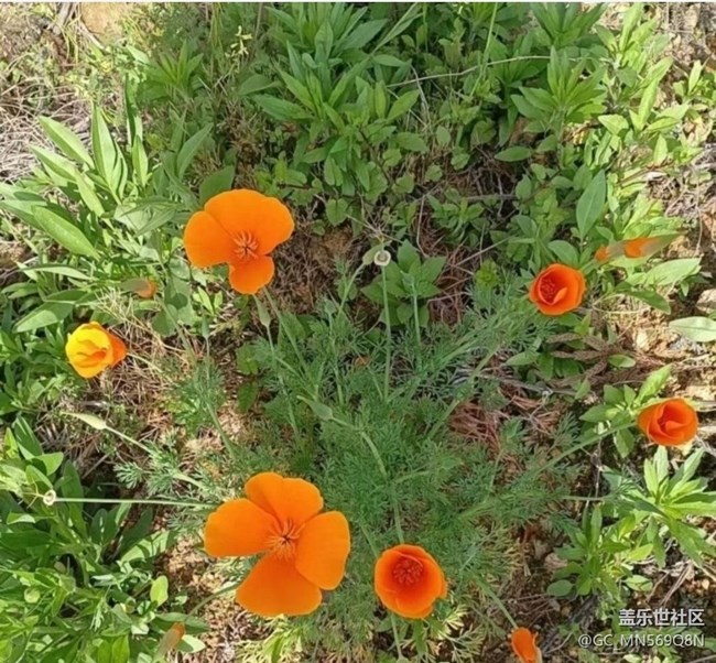 【人間四月天】爬爬山