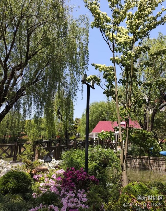 【人間四月天】公園一角