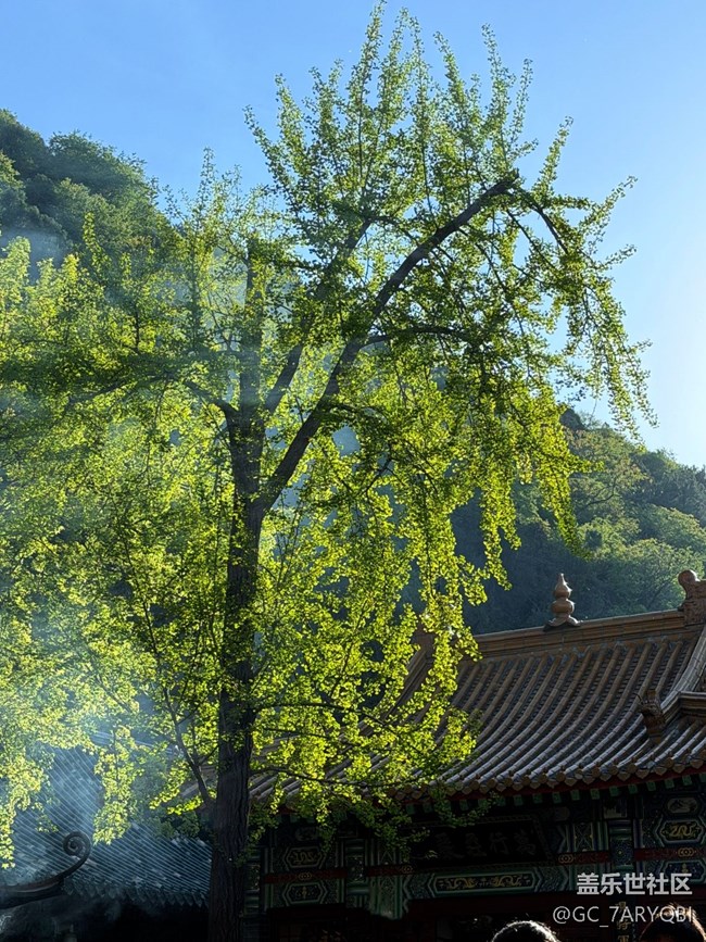 【人間四月天】春和景明