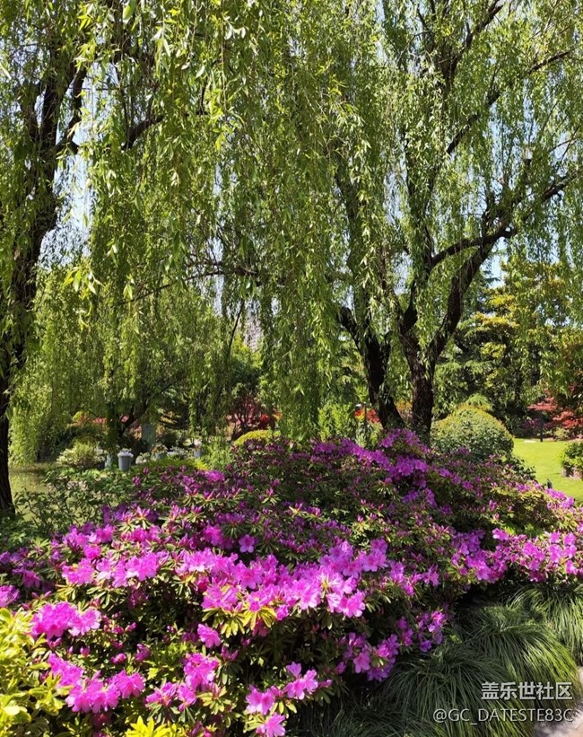 【人間四月天】公園一角