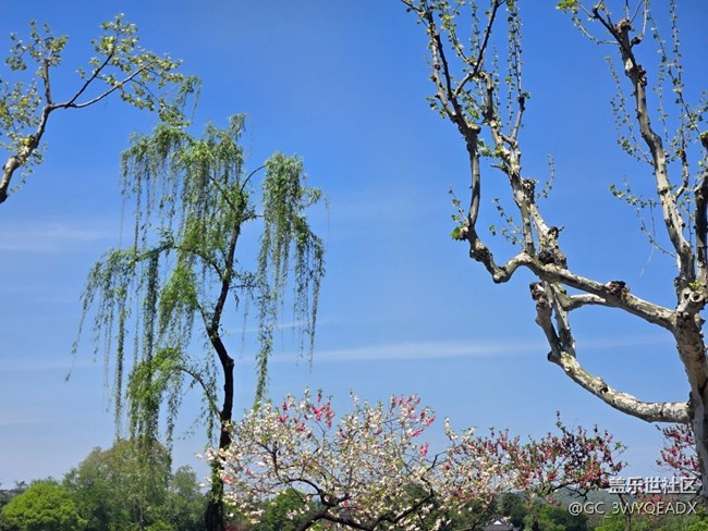 【人間四月天】西湖美景
