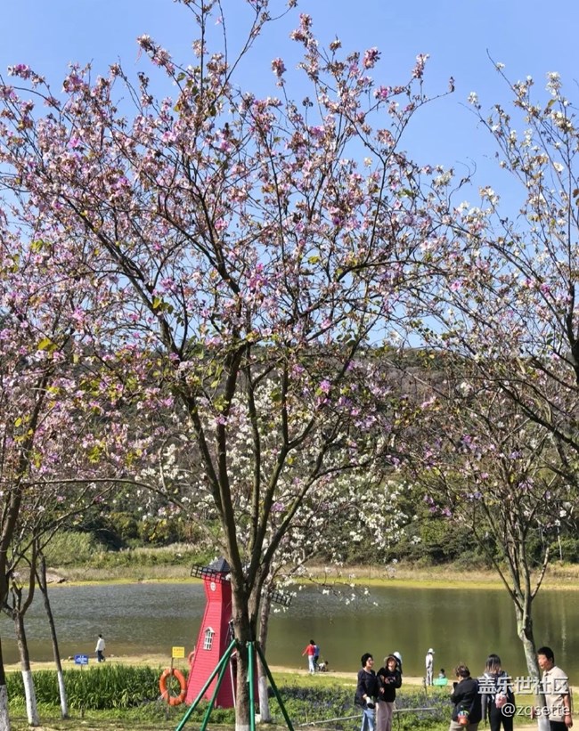 【踏青閑步】湖邊溜達(dá)