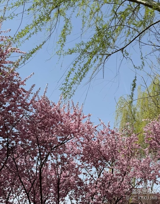 【踏青閑步】春日限定