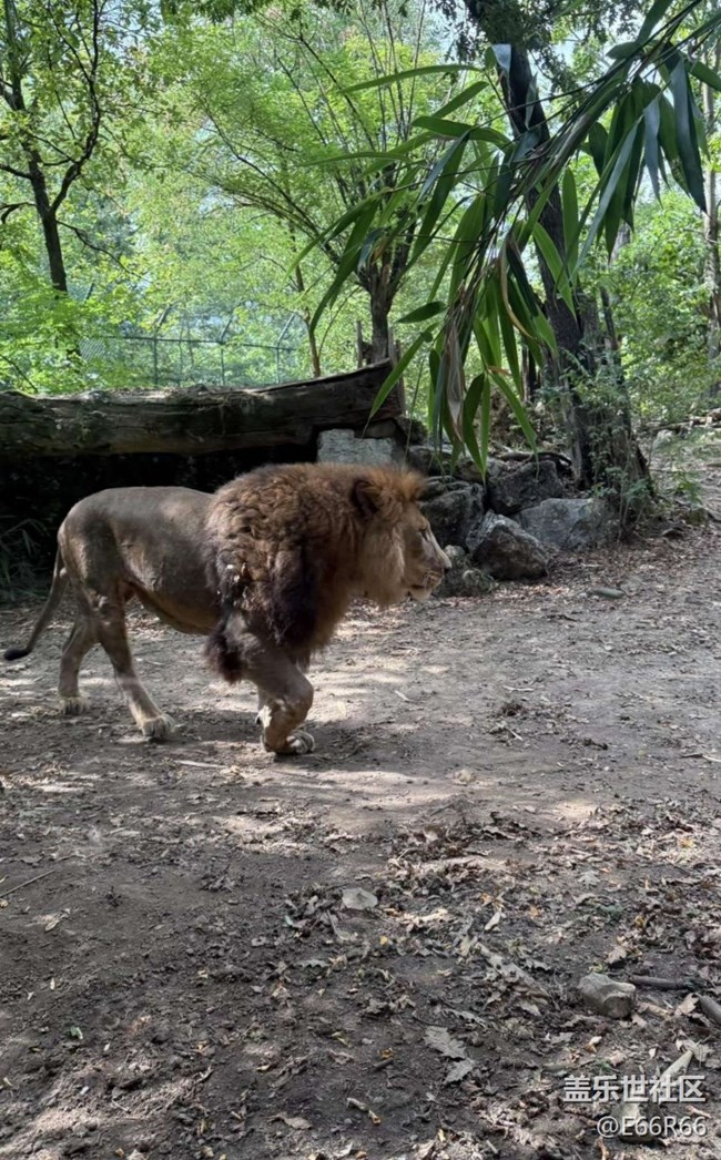 【踏青閑步】逛動(dòng)物園