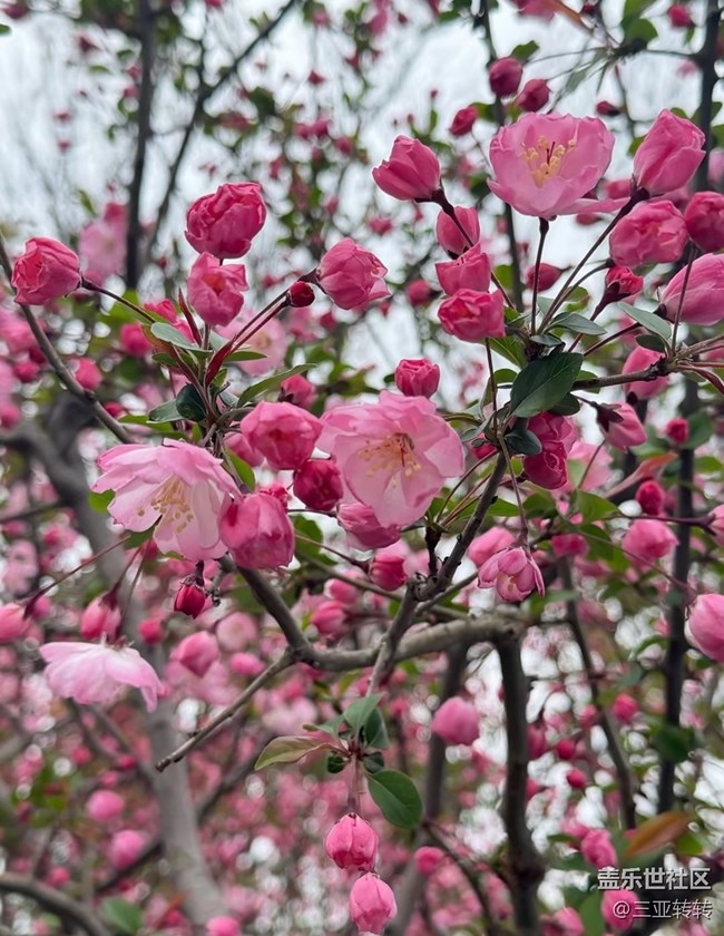 【踏青閑步】春天色彩