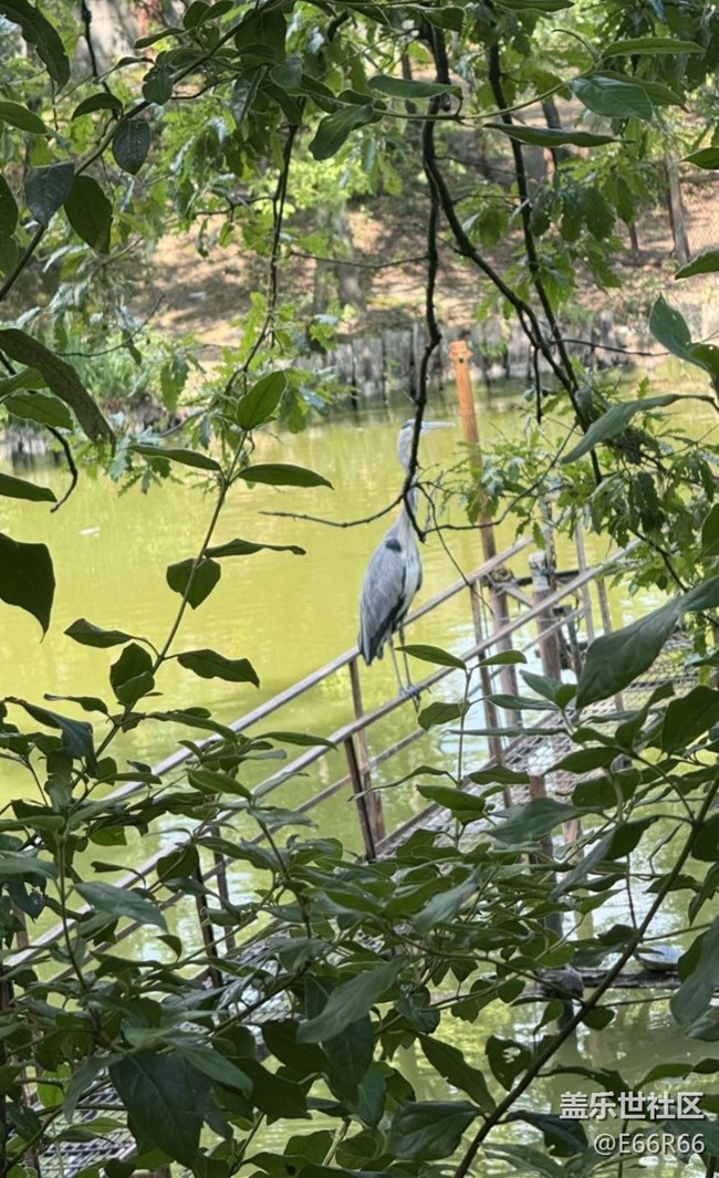 【踏青閑步】逛動(dòng)物園