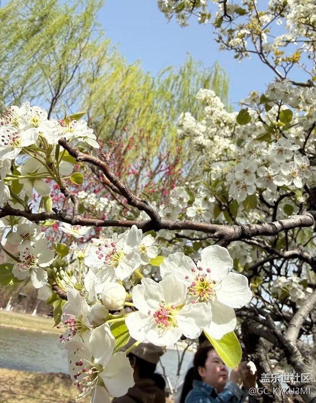 【踏青閑步】春日限定