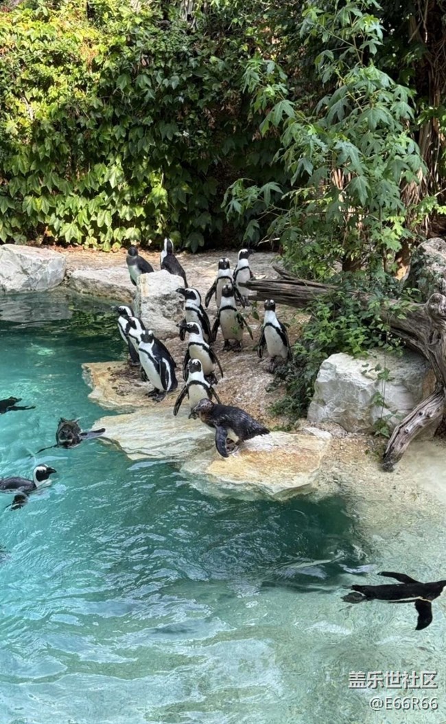 【踏青閑步】逛動(dòng)物園