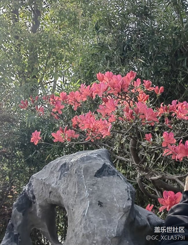 【踏青閑步】春暖花開