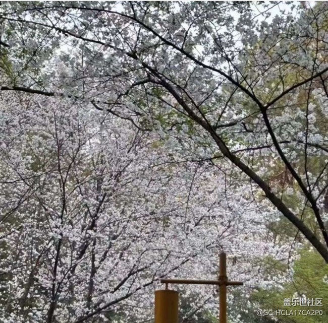 【踏青閑步】賞花了