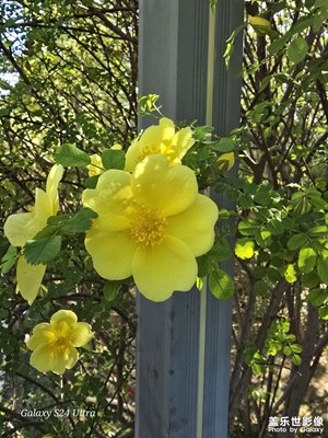 春色滿園關(guān)不住