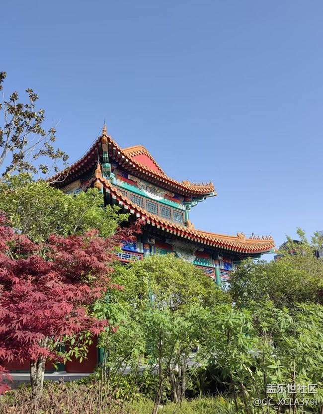 【踏青閑步】春暖花開